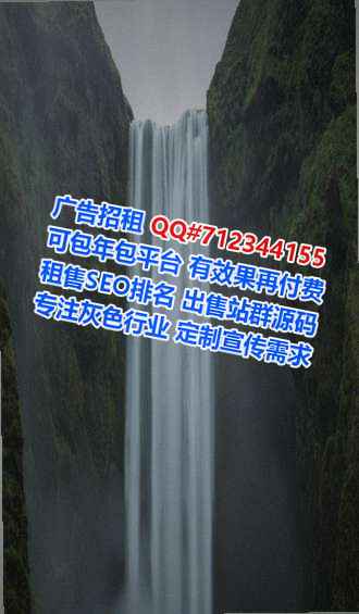 新会孕母互联网公司
